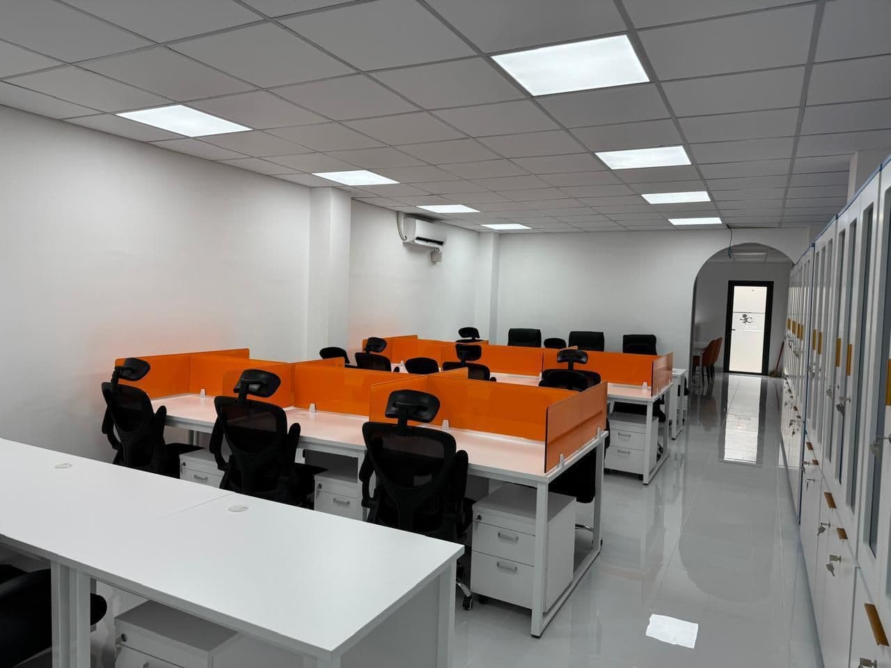Study Area with Blue Dividers
